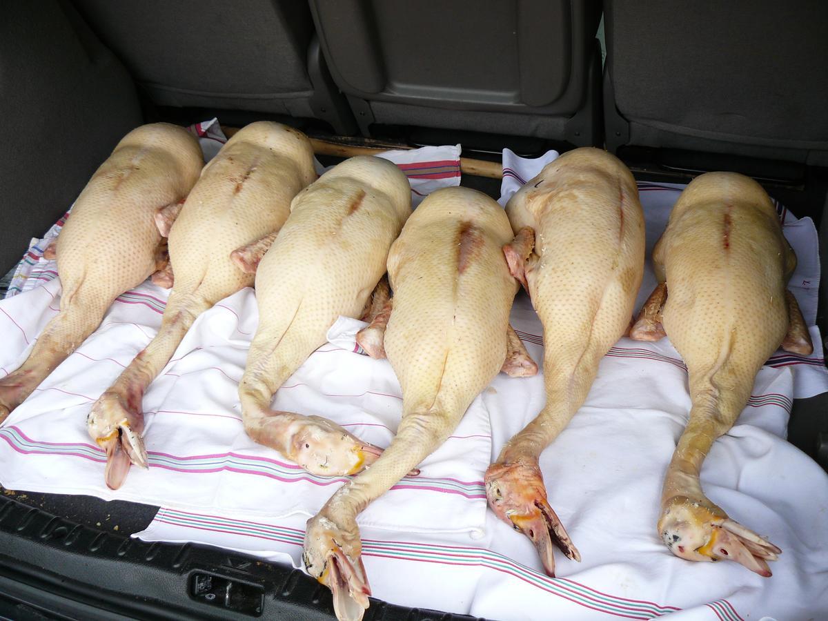 Gite Au Bouzigues Monlaur-Bernet Ngoại thất bức ảnh